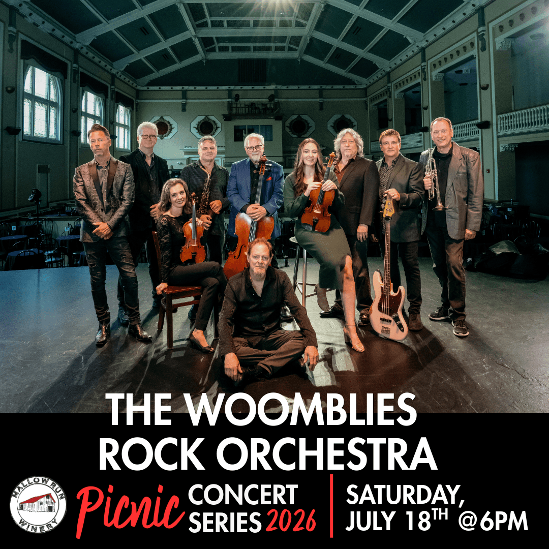 THE-WOOMBLIES-PCS-Promotional-